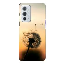Силиконовый Чехол с одуванчиками на OnePlus 9RT (Роздумаханый одуванчик)