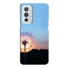 Силиконовый Чехол с одуванчиками на OnePlus 9RT (Закат с одуванчиком)