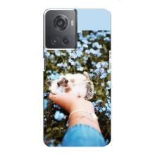 Чехлы с изображением разных животных для OnePlus ACE (10R) (Ежик на руках)