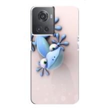 Чехлы с изображением разных животных для OnePlus ACE (10R) (Геккон)