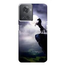 Чехлы с изображением разных животных для OnePlus ACE (10R) (Лошадь)