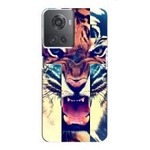 Чехлы с изображением разных животных для OnePlus ACE (10R) (Яркий Тигр)