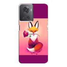 Чохли з картинкою Лисичка для OnePlus ACE (10R) (VPrint) (Лиса з трояндою)