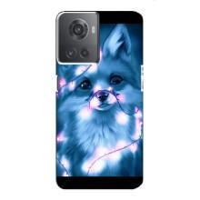 Чохли з картинкою Лисичка для OnePlus ACE (10R) (VPrint) (Яскрава лисичка)