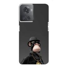 Чохли з Мавпами NFT для OnePlus ACE (10R) (AlphaPrint) (Мавпа NFT)