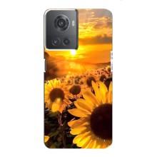 Чехол с Цветами для OnePlus ACE (10R) (поле подсолнухов)