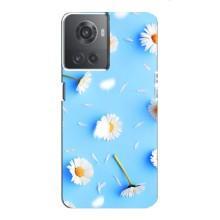 Чехол с Цветами для OnePlus ACE (10R) (ромашки на голубом)