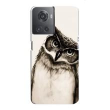Чохол з пташками на OnePlus ACE (10R) (VPrint) (Сова)