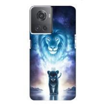 Чохол з картинкою ЛЕВ для OnePlus ACE (10R) (VPrint) (Маленький лев)