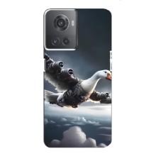 Чехол с мемом Тралалело тралала на OnePlus ACE (10R) – Бомбардини гусини