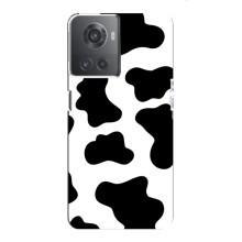 Чехол с принтом коровы на ВанПлас Ейс (10Р) – Черный принт