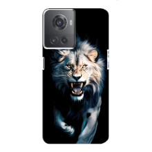 Чехол с картинкой «Хищники» для OnePlus ACE (10R) (Лев)