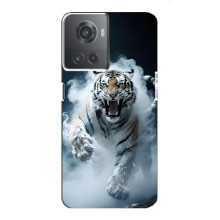 Чехол с картинкой «Хищники» для OnePlus ACE (10R) (Тигр)