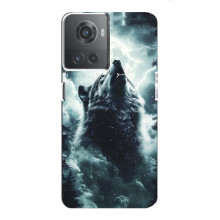 Чехол с картинкой «Хищники» для OnePlus ACE (10R)