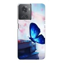 Силиконовый бампер с картинкой животных для OnePlus ACE (10R) (Бабочка синяя)
