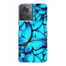 Силиконовый бампер с картинкой животных для OnePlus ACE (10R) (Крылья бабочек)