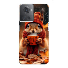 Печатный чехол «Зверята с кофе» для OnePlus ACE (10R) – Белка с кофе