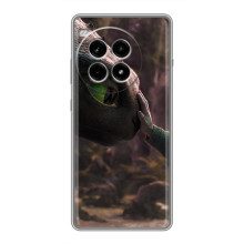 Чохол як приборкати дракона на OnePlus Ace 3 Pro – Сцена з драконом