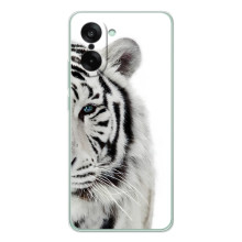 Чехлы с картинками животных OnePlus Ace 5 Racing (Белый Тигр)