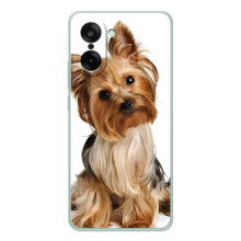 Чохол (ТПУ) Милі песики для OnePlus Ace 5 Racing (Пес Терьєр)
