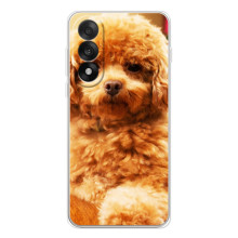 Чохли з собаками для OnePlus Ace 5 Ultra (VPrint) (Цуценя Бішон)
