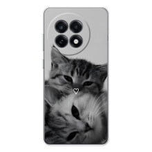 Чохол з малюнком кіт на OnePlus Ace 5 (Пара котів)