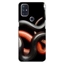 Чехлы с изображением разных животных для OnePlus Nord 10 5G (Змея)