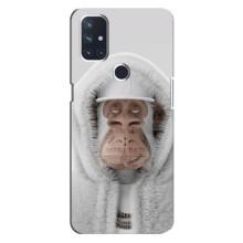 Чехлы с Обезьянами NFT для OnePlus Nord 10 5G (AlphaPrint) (обезьяна NFT в тату)