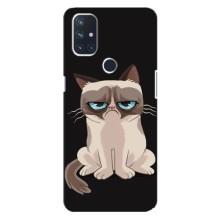 Чехол на тематику: Коты для OnePlus Nord 10 5G (Взгляд кота)