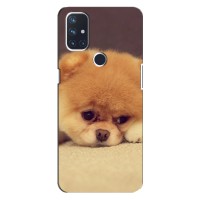 Чехол (ТПУ) Милые собачки для OnePlus Nord 10 5G – Померанский шпиц