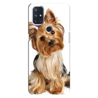 Чехол (ТПУ) Милые собачки для OnePlus Nord 10 5G (Собака Терьер)