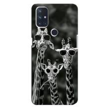 Силиконовый чехол с КАРТИНКАМИ лето для OnePlus Nord 10 5G (AlphaPrint) (Жирафы в очках)