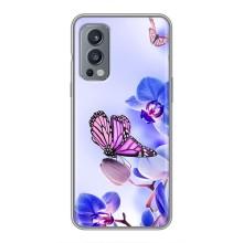 Чехлы с Цветами для OnePlus Nord 2 (VPrint) (Бабочка на цветочке)