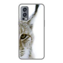 Чехлы с картинками животных OnePlus Nord 2 (Рысь)