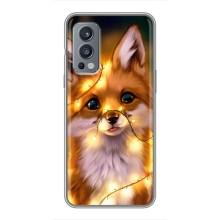 Чехлы с картинкой Лисички для OnePlus Nord 2 (VPrint) (Лисичка в гирляндах)