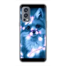 Чехлы с картинкой Лисички для OnePlus Nord 2 (VPrint) (Яркая лисичка)