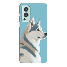 Чехол с Хаски для OnePlus Nord 2 - (AlphaPrint) (Хаски арт)