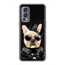 Чехлы с крутыми принтами для OnePlus Nord 2 - (PREMIUMPrint) (Стильная собака)