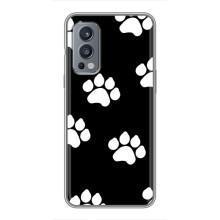 Чехлы с собаками для OnePlus Nord 2 (VPrint) (Следы собаки)