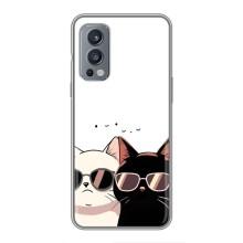 Чехол с рисунком кот на OnePlus Nord 2 – Коты в очках