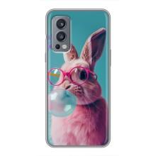 Чехол с принтом стильные животные для ВанПлас Норд 2 – Кролик в очках