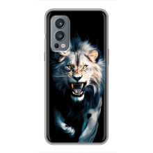 Чохол з картинкою 'Хижаки' для OnePlus Nord 2 – Лев