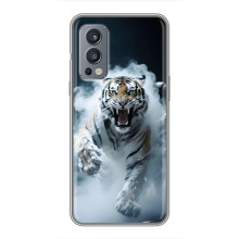 Чохол з картинкою 'Хижаки' для OnePlus Nord 2 – Тигр