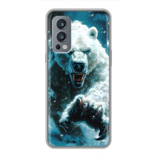 Чохол з картинкою 'Хижаки' для OnePlus Nord 2 – Ведмідь