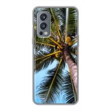 Силиконовый чехол с КАРТИНКАМИ лето для OnePlus Nord 2 (AlphaPrint) – Пальма