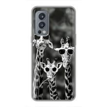 Силиконовый чехол с КАРТИНКАМИ лето для OnePlus Nord 2 (AlphaPrint) – Жирафы в очках