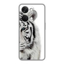 Чохли з картинкою животних OnePlus Nord 3 5G (Білий Тигр)