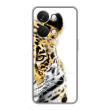Чохли з картинкою животних OnePlus Nord 3 5G (Леопард)