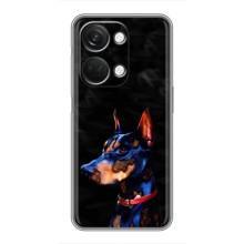 Чохли з картинкою животних OnePlus Nord 3 5G (Собака)