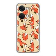 Чохли з картинкою Лисичка для OnePlus Nord 3 5G (VPrint) (Лисички)